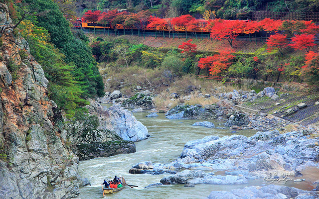 保津川紅葉